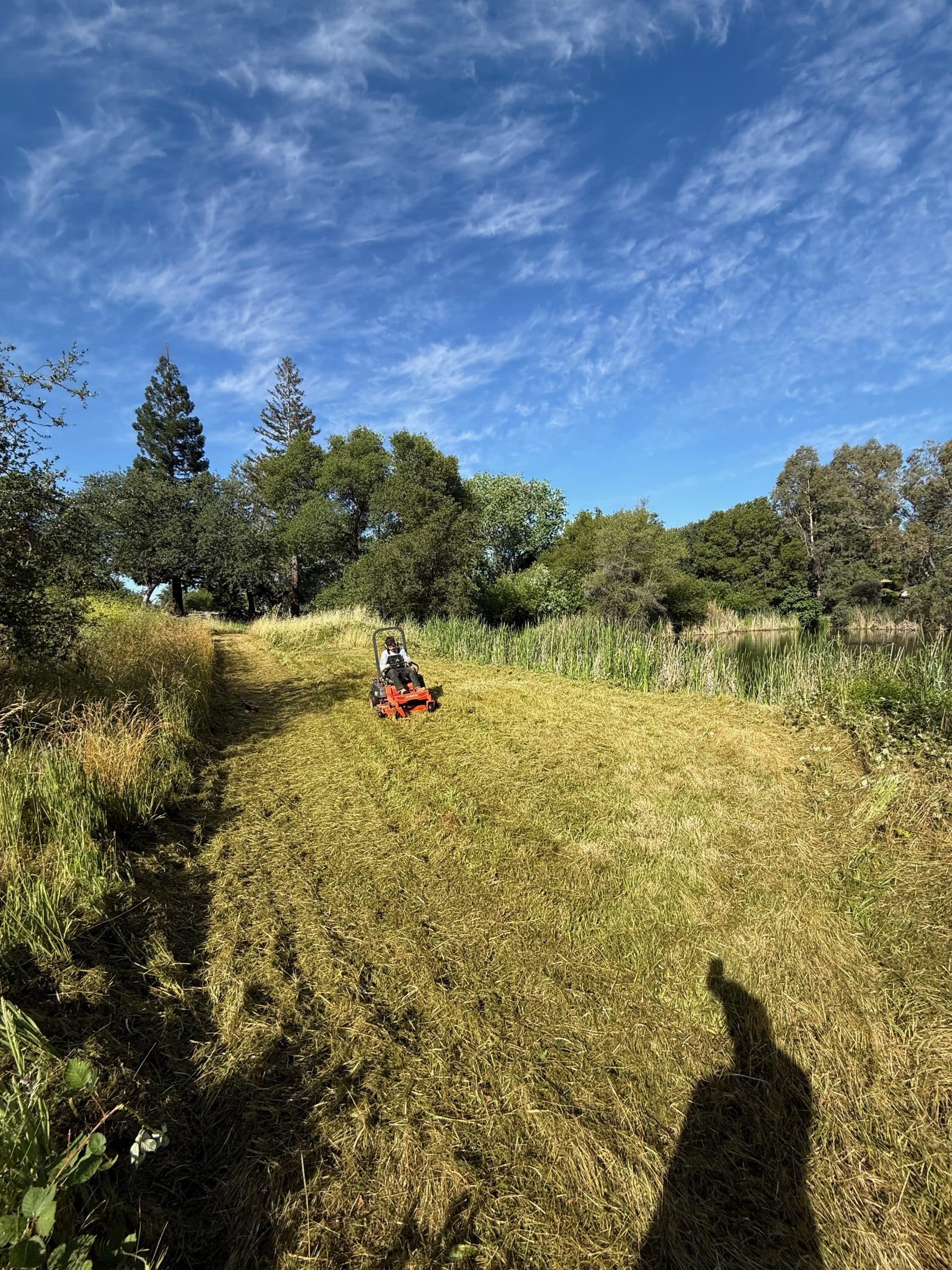 Land Clearing & Site Preparation project photo 1